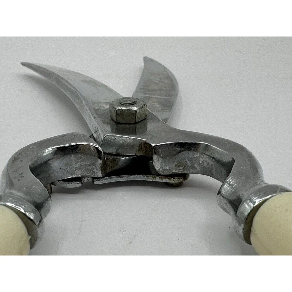 Poultry Shears Vintage Made In Italy Off White Handle